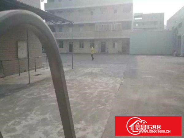 坪山新区碧岭;独院钢厂房5100平米;宿舍加办公室