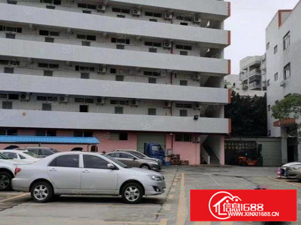 树田独门独院工业园二楼1180四楼1678平出租现成装修