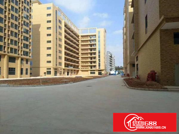 凤岗原房东13万平米产业园对外招租