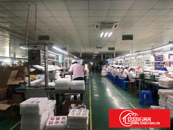 塘厦科苑城形象大气三楼整层3000平米带装修吊顶