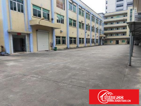 大井头工业区独院厂房出租三层3300平，宿舍1000，可分租