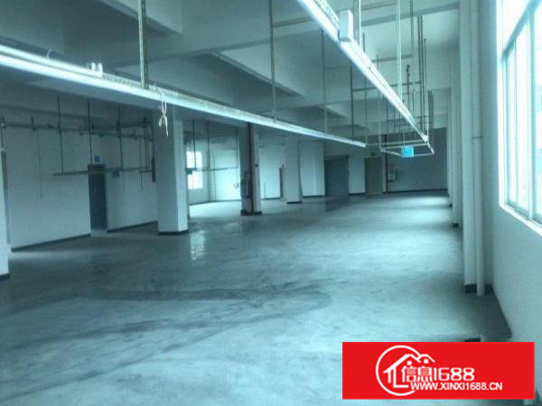 企石镇桥头镇石排镇横沥镇全新