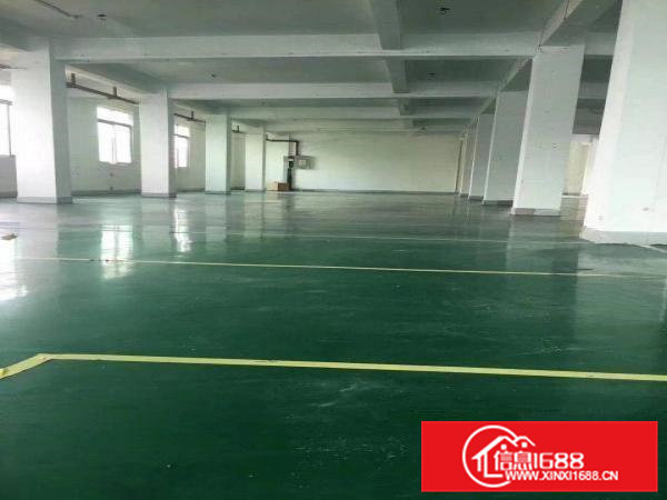 工业区新出一楼标准厂房