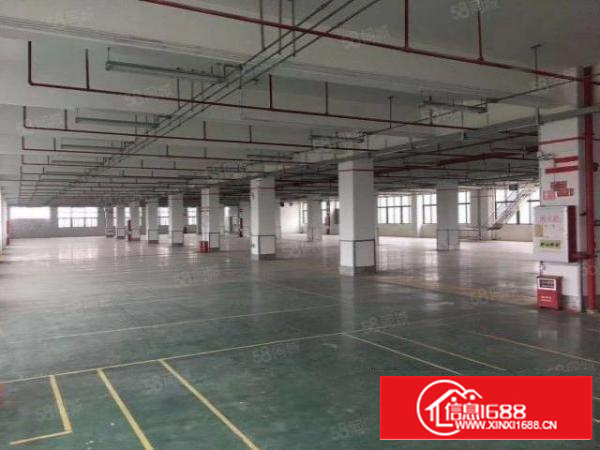 石碣镇全新标准厂房出租二楼整层5500方，租金17元！