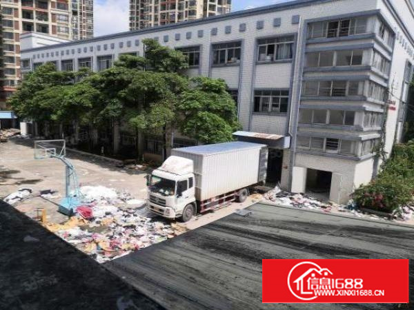 茶山原房东标经典独院厂房13层4700，带消防喷淋，