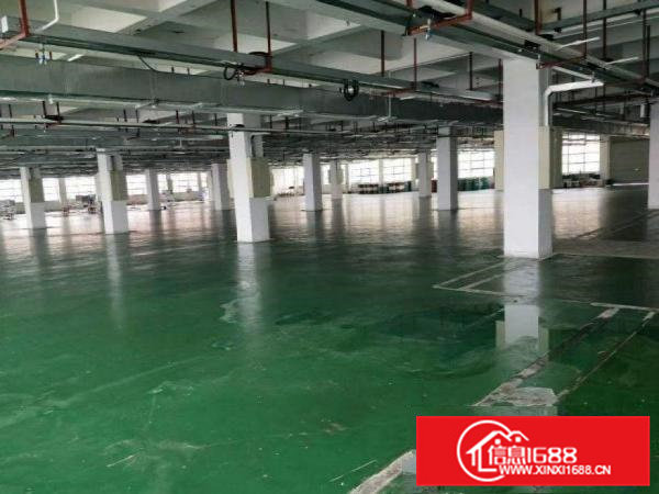 大朗新马莲工业区新出原房东独门独院1000平厂房分租