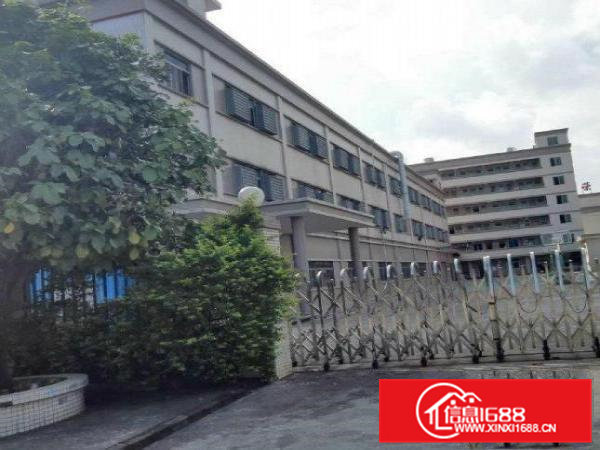 东坑花园式标准厂房三层7500平方招租