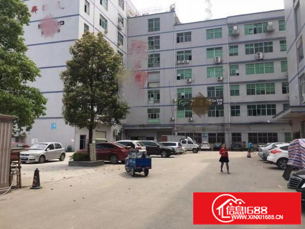 坂田上雪科技园一楼1000平方出租