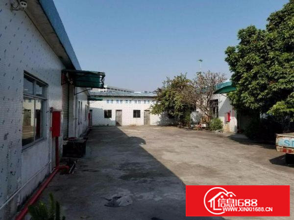 常平上坑独院厂房出租单一层500至900平方配备齐全