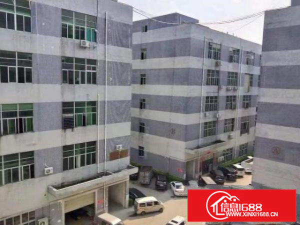 公明上村新房源！厂房380平方便宜出租，使用率高