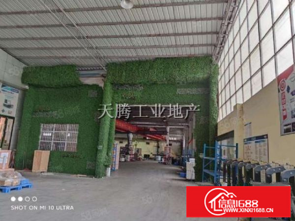 （出租）北滘国有独院厂房5500单层8米可环评豪装