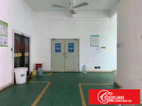 平湖观澜厂房出租1000平1800平一楼招