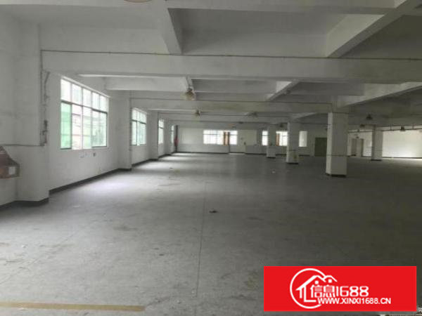 六约麻地街一楼330平方30元仓库出租