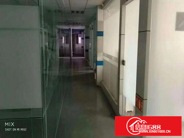 坪山碧岭经典小独院2780平厂房出租