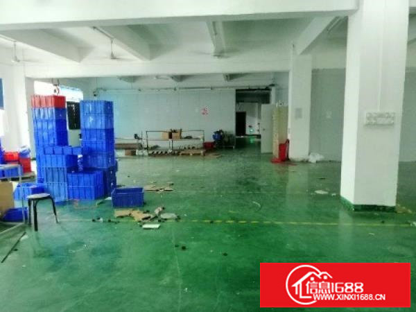 龙岗大型工业园原房东红本独院4500平厂房出租空地大可分租