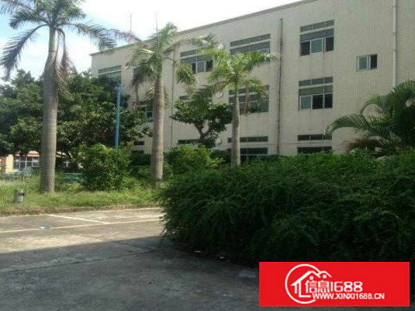 华荣路澳华工业区新出4楼450平带装修急租