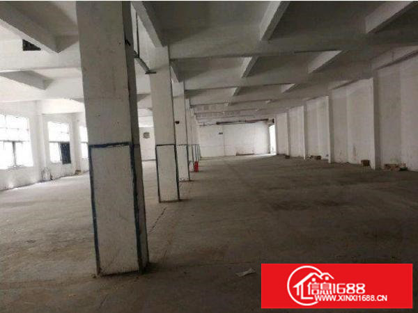 龙岗区同乐一楼1500平方出租