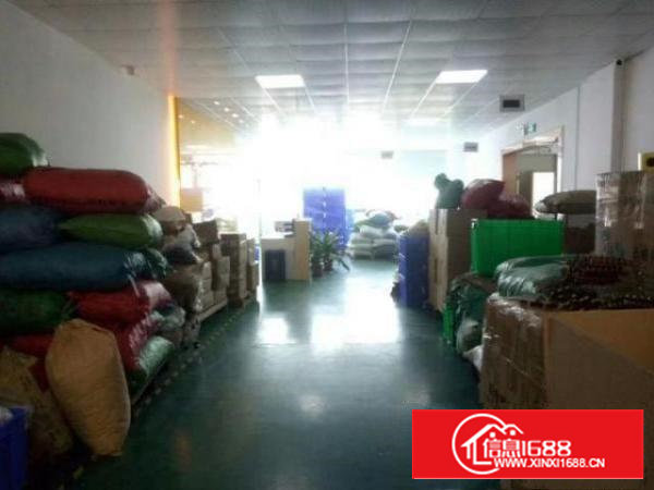 西乡九围簕竹角鹤洲红本厂房1390平米整层招租