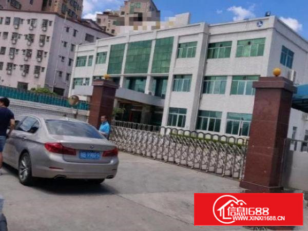 带装修！独院厂房出租可分租