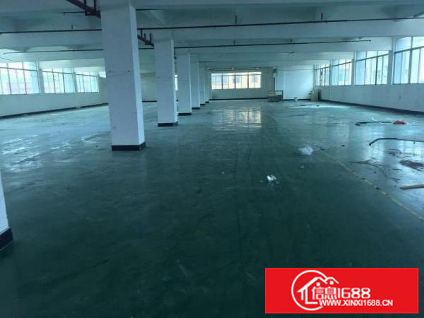 平湖富民工业主干道边上，原房分租800