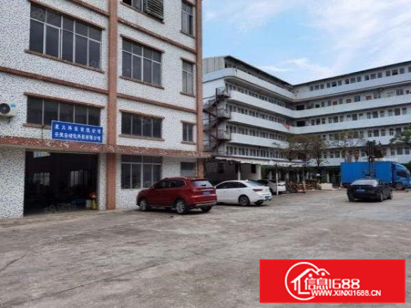 寮步新出原房东独院厂房红本可办环评有消防水电装修