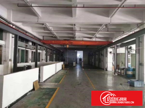 塘厦平山新出1楼900平带行车办公室，车间水电齐全