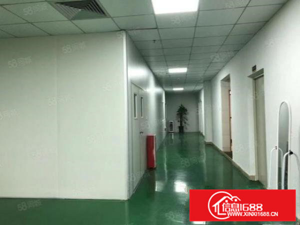 凤岗雁田布心带精装二楼1000平方厂房仓库出租