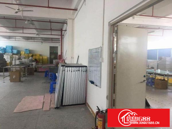 出租布吉布吉周边