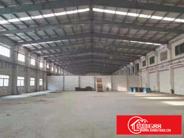 石排原房东独门独院单一层800平方现成办公室空地500平方