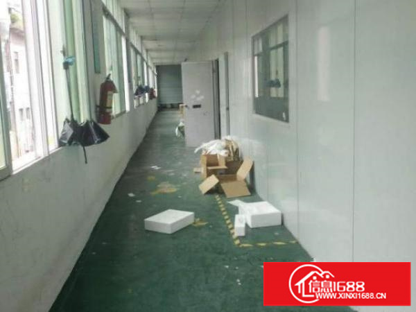 出租龙华观澜二楼厂房出租