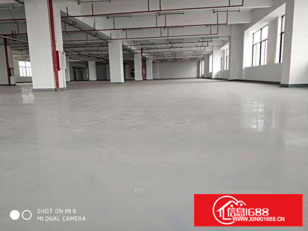 长安上沙原房东楼上带装修厂房1200平厂房出租可分租