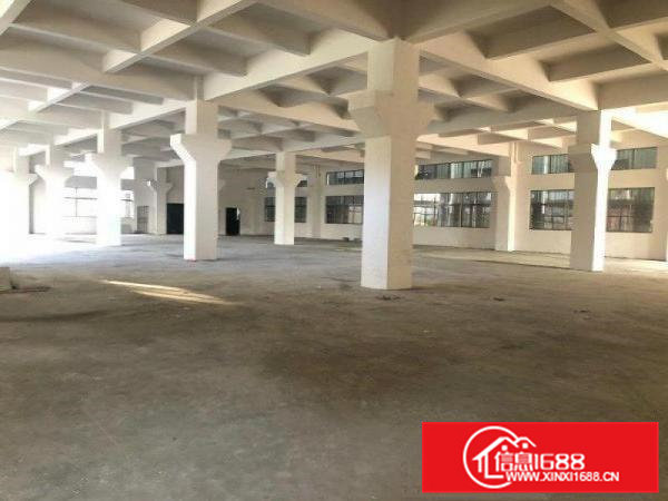 房东自用小加工厂房价格便宜实用300平方