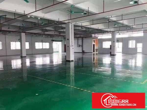 福永兴围一楼厂房800平低价出租，无公摊