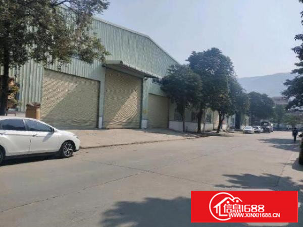 樟木头金河全新钢构厂房4600平方