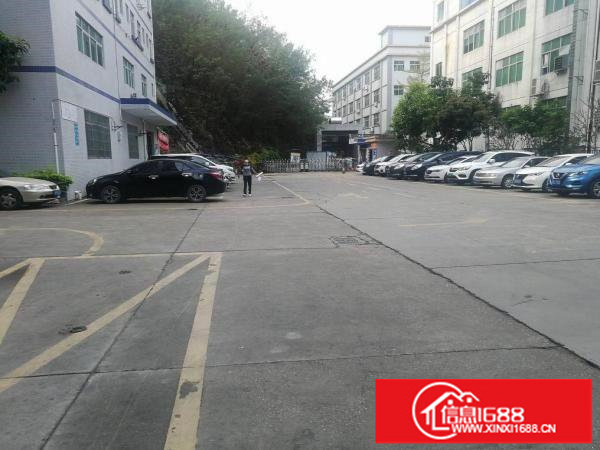 坂田上雪东区红本楼上1000平厂房出租，带装修可分租