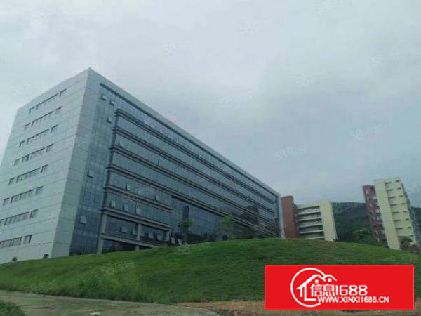 塘厦林村大型工业园20万平方1000平方起分!有政府优惠补贴