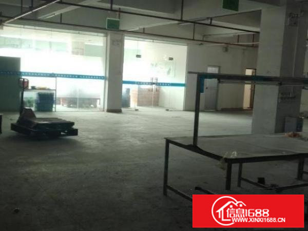 坪地原房东标准楼上400厂房出租带办公室