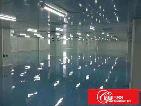 龙岗坪地原房东厂房适合高新产业电子贸易科技医疗研发等