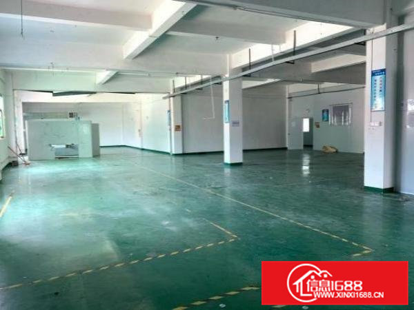 清溪罗马高速出口新出标准厂房楼上带装修1100平米招租