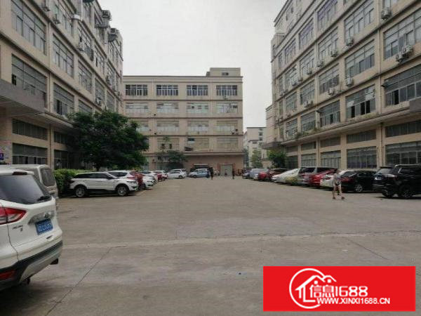 坂田旭明工业园楼上480平精装修，全新地坪漆，水电齐全