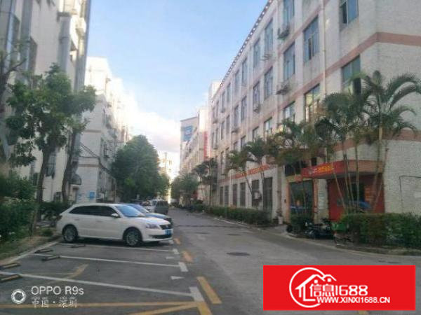 新出2楼厂房1100平可分租适合电子仓库等行业