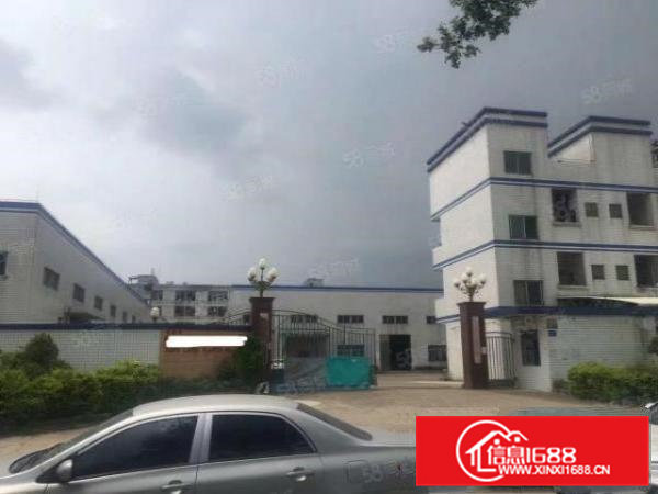 临深独院单一层钢结构厂房6000平方米带办公室超大空地出租