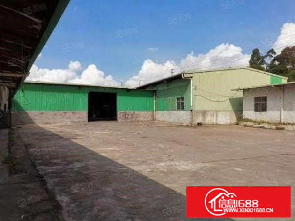 桥头单一层钢构厂房出租