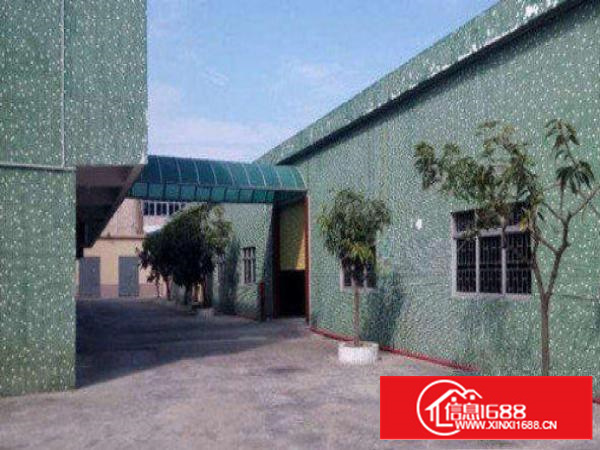 万江独院单一层厂房2500平方出租配电250千瓦，空地800