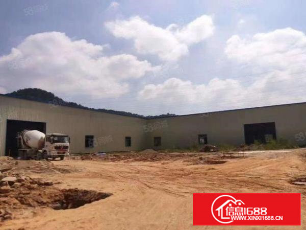 塘厦石马原房东新建独院钢构4000平无公摊滴水9米中间无柱子