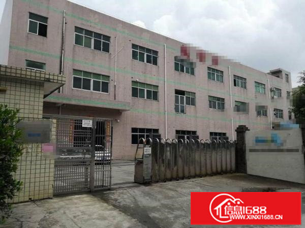 华南城5号广场对面楼上两层各1500平米一层带装修