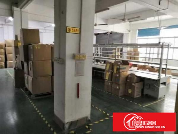 出租宝安石岩塘头三联工业园豪华装修厂房700平方