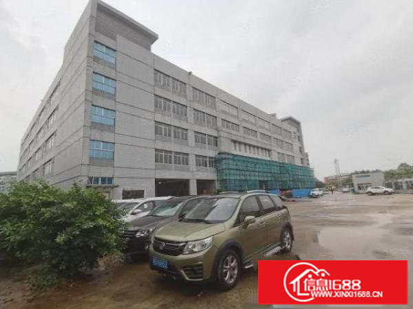 房东直租红本带消防可分割标准厂房出租免租三个月起