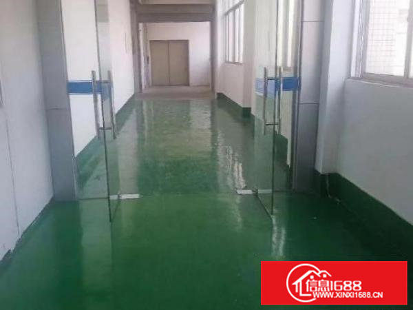 大岭山杨屋村带装修厂房1000平方