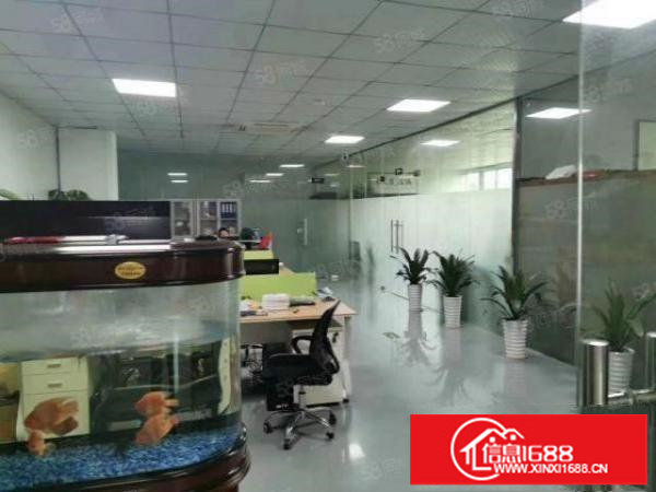 大浪商业中心附近原房东新出整层1380平豪华装修带无尘车间